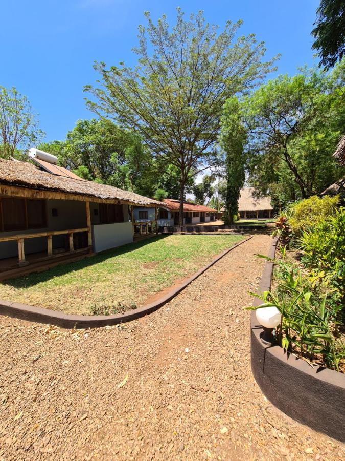 Honey Badger Lodge Моші Екстер'єр фото
